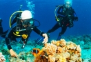 922-5-scuba-diving-phuquoc