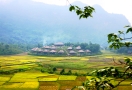 922-20-maichau-vietnam