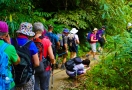 Randonnée au Parc National de Ba Be