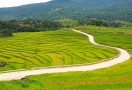 922-3-puluong-vietnam