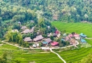 922-4-puluong-kho-muong-vietnam