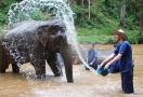 922-32-chiang-mai