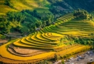 Rizière en terrasses à Cao Bang