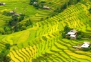 Rizière en terrasses à Hoàng Su Phì Ha Giang