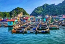 922-498-3-baie-lan-ha-bay