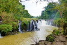 Plateau Bolovens (Laos)