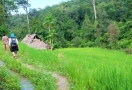 Randonnée à Chiang Mai Thaïlande