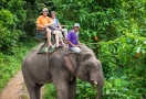 Balade à dos d'éléphant à Chiang Rai
