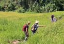 Randonnée dans la vallée de Mai Chau