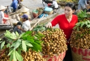 Marché Flottant Cai Be Mekong