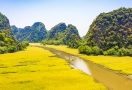 Croisière en barque à Tam Coc (Ninh Binh)