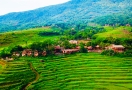 Pu Luong Réserve Naturelle du Vietnam