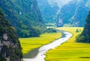 Croisière en barque à Tam Coc (Ninh Binh)