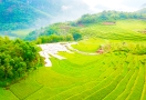 Pu Luong Réserve Naturelle du Vietnam