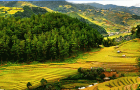 Que Faire à Mai Chau, Vietnam: Les 12 Sites Incontournables à Visiter