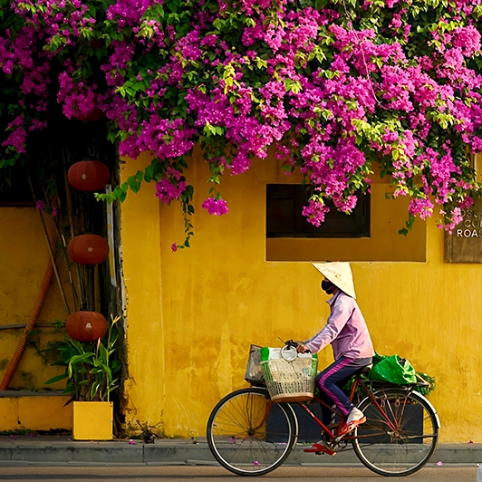 Expérience unique à vivre 2 semaines au Vietnam du nord au centre