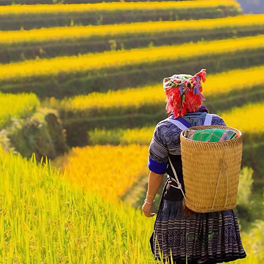 Circuit exceptionnel de 15 jours au Vietnam Thaïlande uniques