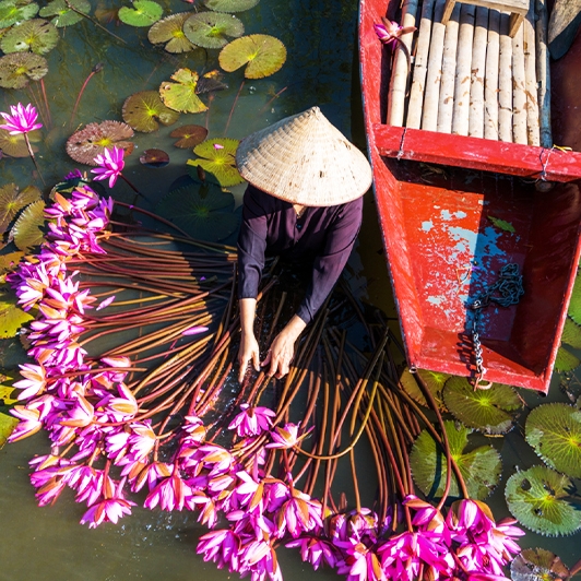 Excursion à Baie d'Halong terrestre (Tam Coc ou Thung Nham) Ninh Binh 1 Jour
