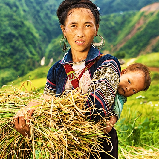 Séjour merveilleux Hanoi Baie d'Halong Sapa 6 jours 5 nuits