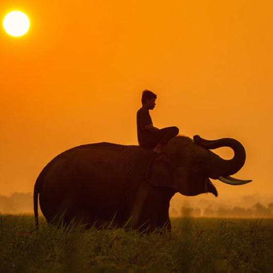Itinéraire deux semaines Cambodge authentique 14 Jours 13 Nuits