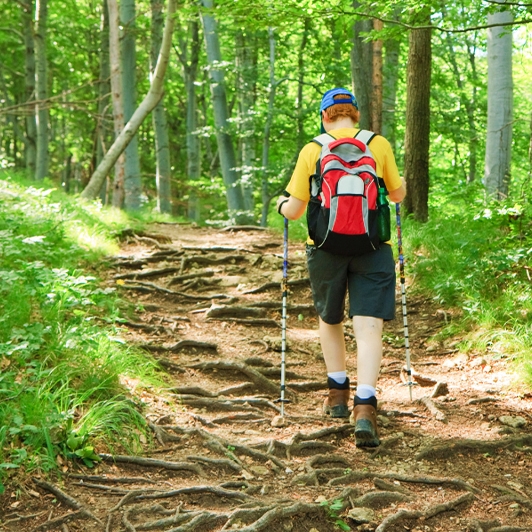 Plongez dans une aventure de randonnée au Cambodge 14 jours