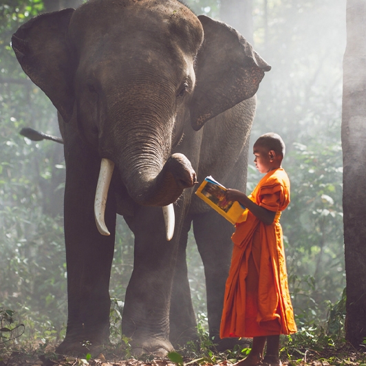 Visiter la Thailande incroyable en trois semaines 21 Jours 20 Nuits