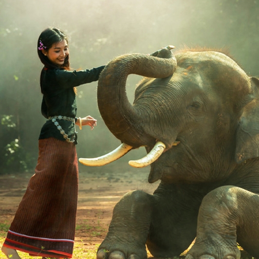 Embarquez pour un voyage d'une semaine en Thaïlande 7 Jours