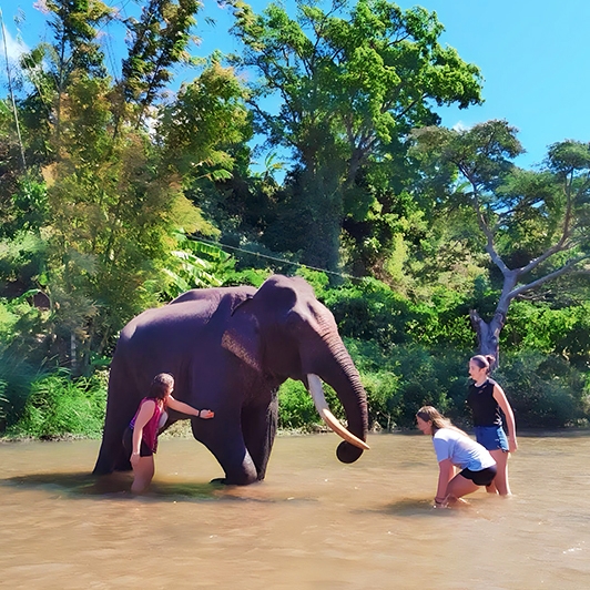 Visiter le charme du sud Vietnam 15 Jours 14 Nuits