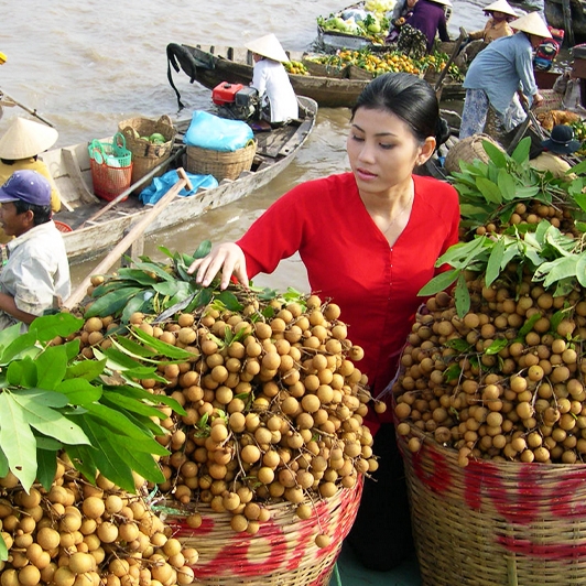 Exploration de Cai Be Vietnam Mékong Delta 2 jours 1 nuit