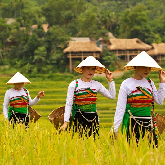 Itinéraire véritable Vietnam trois semaines 21 Jours 20 Nuits