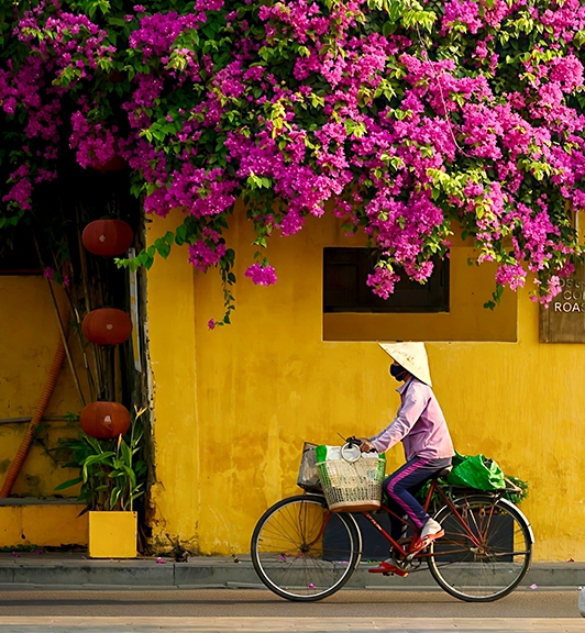 Expérience unique à vivre 2 semaines au Vietnam du nord au centre
