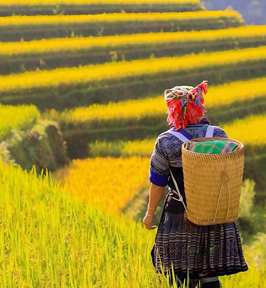 Circuit exceptionnel de 15 jours au Vietnam Thaïlande uniques
