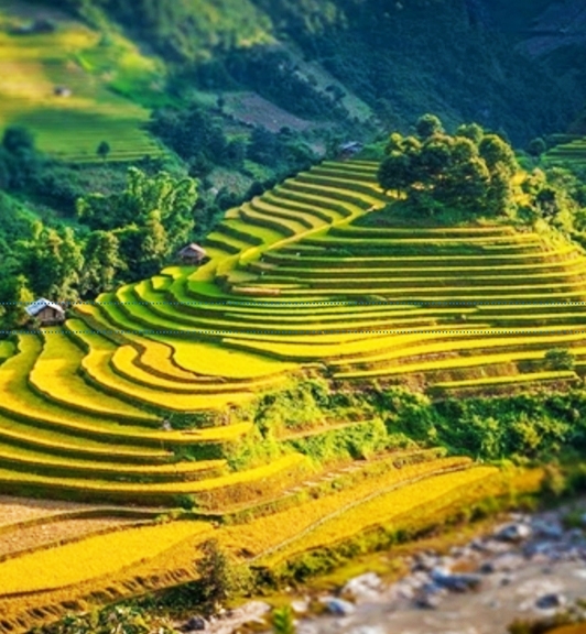 Itinéraire de 2 semaines au Vietnam Nord hors des sentiers battus 14jours