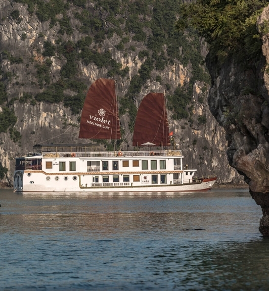 Jonque Heritage Line Violet Dans La Baie D'Halong