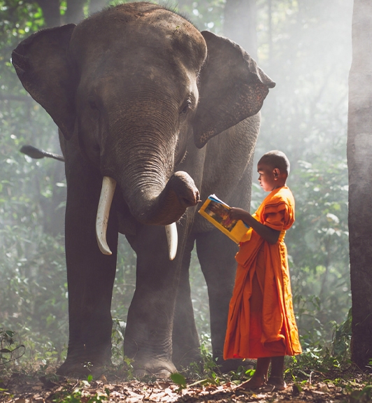 Visiter la Thailande incroyable en trois semaines 21 Jours 20 Nuits