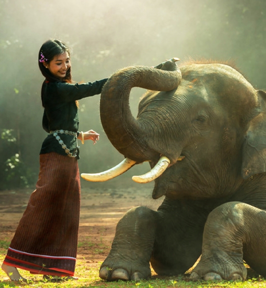 Embarquez pour un voyage d'une semaine en Thaïlande 7 Jours