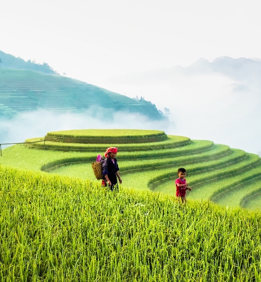 La quintessence deux semaines Nord Vietnam 14 Jours 13 Nuits
