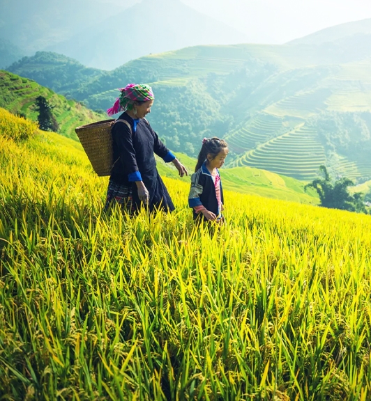 Circuit à Sapa Bac Ha en Bus depuis Hanoi 5 Jours 4 Nuits