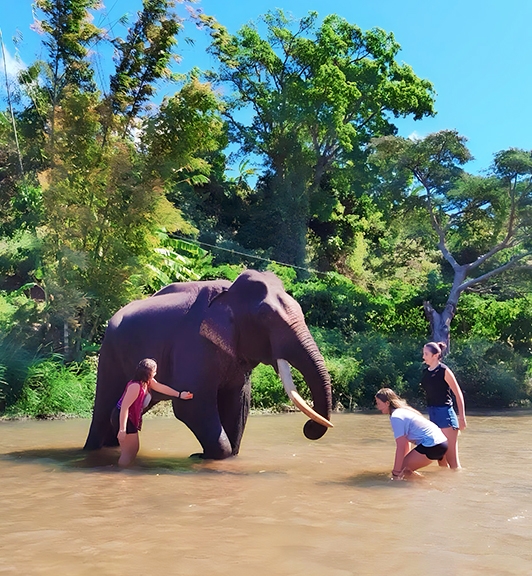 Visiter le charme du sud Vietnam 15 Jours 14 Nuits