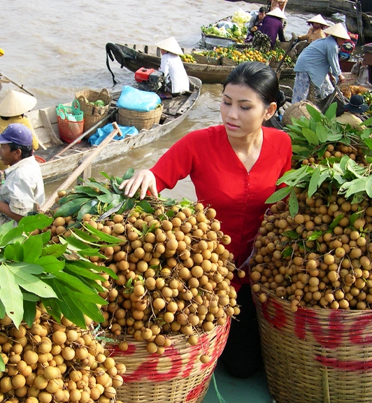 Exploration de Cai Be Vietnam Mékong Delta 2 jours 1 nuit