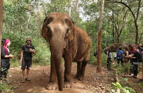 Que Faire à Mondulkiri En 2 Jours Par M. Antoine Que Faire à Mondulkiri En 2 Jours Par M. Antoine