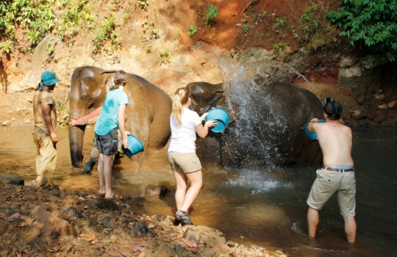 Quelle Est La Meilleure Période Pour Visiter Mondulkiri Cambodge ? Quelle Est La Meilleure Période Pour Visiter Mondulkiri Cambodge ?