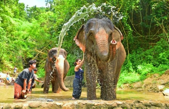 Que Faire En Thaïlande ? Revue De 10 Jours En Thaïlande Par M. Dupont Que Faire En Thaïlande ? Revue De 10 Jours En Thaïlande Par M. Dupont