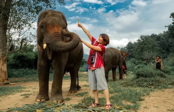Chiang Mai En Avril - Que Faire à Chiang Mai Quand Il Fait Chaud ?
