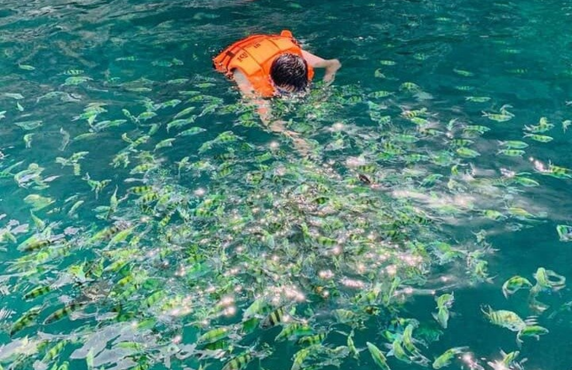 Avis Du Voyage à Koh Yao Yai En 3 Jours De La Famille Bertin Avis Du Voyage à Koh Yao Yai En 3 Jours De La Famille Bertin