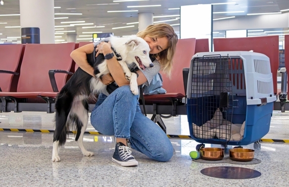 Voyager En Thaïlande Avec Un Animal