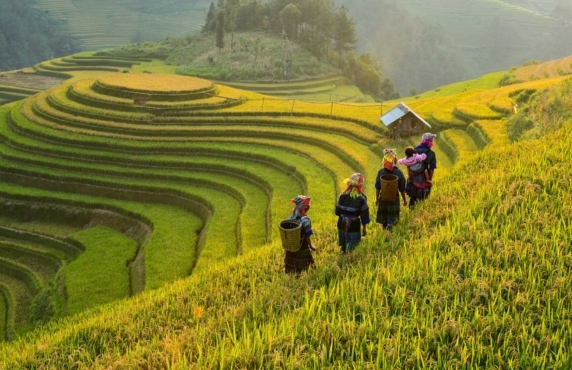 Est-ce Que 2000 Euros Suffisent Pour 3 Semaines Au Vietnam ? Est-ce Que 2000 Euros Suffisent Pour 3 Semaines Au Vietnam ?