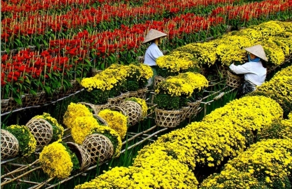Circuit Ben Tre Sa Dec Chau Doc 6 Jours De Sarah