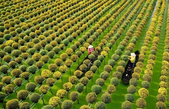 Circuit Mékong Can Tho Sadec Long Xuyen 4 Jours - Opinion Par Morin