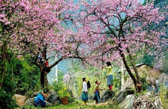 Voyage À Dien Bien En 3 Jours – Expérience De La Famille Martin